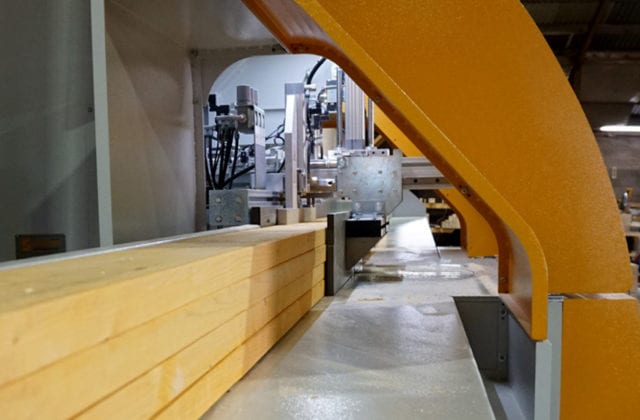 Salvador automatic crosscut